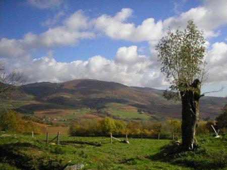 Le Colombier D'Amalthee Vernay Exterior foto